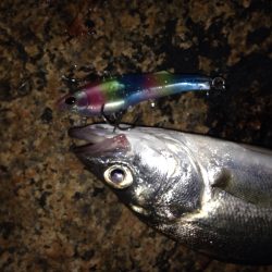 反則的なバイブレーションプラグで