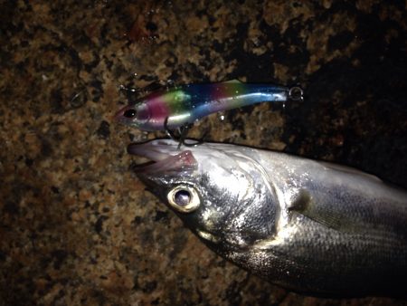 反則的なバイブレーションプラグで