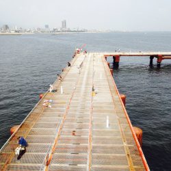 ノマセでスズキ