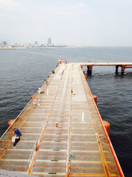 ノマセでスズキ