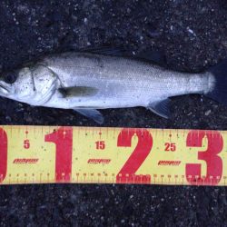 雨降りなんて関係ないっ！