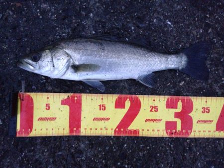 雨降りなんて関係ないっ！