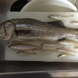 嫁の産後解禁釣行