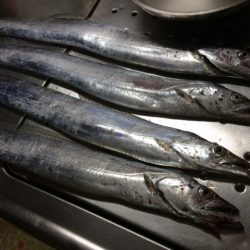 アタリはあるが。。。