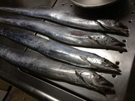 アタリはあるが。。。