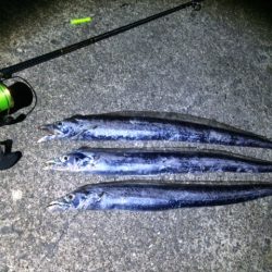 やっぱり数が出ない（笑）