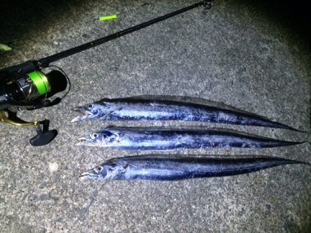 やっぱり数が出ない（笑）