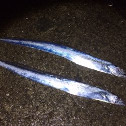 ん～、釣れない（笑）