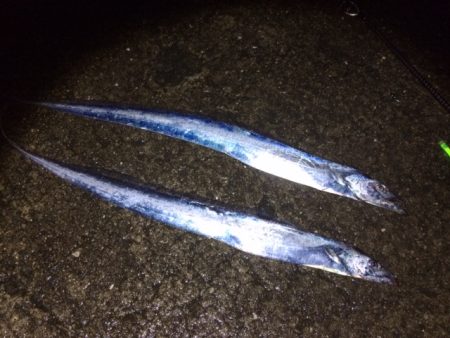 ん～、釣れない（笑）