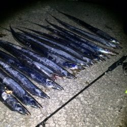 タッチ―プチ(爆)