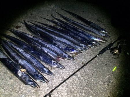 タッチ―プチ(爆)