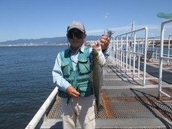 尼崎市立魚つり公園 ズボ釣りで良型キビレ