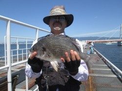 尼崎市立魚つり公園 ズボ釣りで良型キビレ