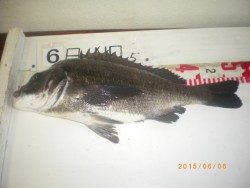 姫路市立遊漁センター　探り釣りで魚種多彩に楽しめる