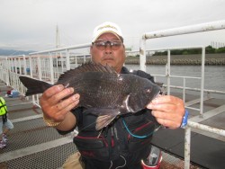尼崎市立魚つり公園　チヌほか