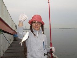 尼崎市立魚つり公園　チヌ好反応