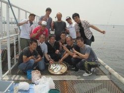 サビキ釣りで釣果が出るようになってきました！尼崎市立魚つり公園