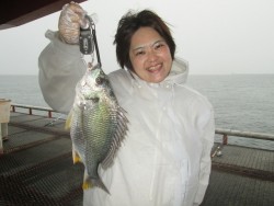 尼崎市立魚つり公園　サビキでキビレほか