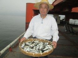 尼崎市立魚つり公園 サビキ絶好調！　エビ撒きハネも釣果あり