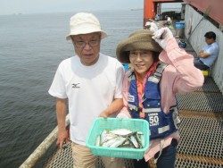 尼崎市立魚つり公園 サビキでイワシ、落とし込みでチヌ