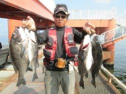 尼崎市立魚つり公園　チヌ、アジ好釣果