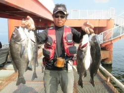 尼崎市立魚つり公園　チヌ、アジ好釣果