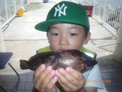 姫路市立遊魚センター　探り釣りでアイナメ、他