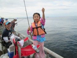 尼崎市魚つり公園　サビキでアジ・イワシ・サバなど