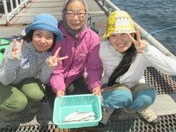 尼崎市立魚つり公園　エビ撒き釣りでスズキ66cm