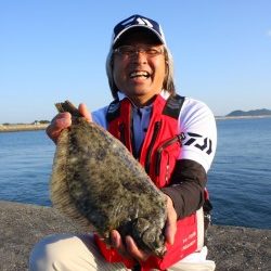 カレイ釣り場紹介『鳴門～徳島エリア』【中本嗣通氏連載記事No.38】