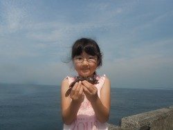 和歌山北港魚つり公園　アコウ釣ったよ！