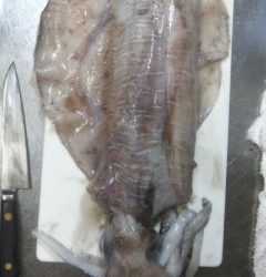 下田原漁港(古座)