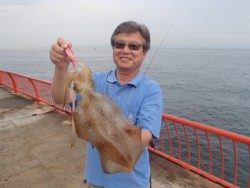 神戸市立平磯海づり公園 中層でアオリイカ1150ｇHIT