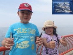 平磯海づり公園でのウキ釣り　イワシ・サバ