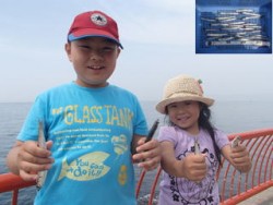 平磯海づり公園でのウキ釣り　イワシ・サバ