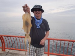 神戸市立平磯海づり公園 パープルカラーのエ…