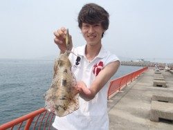 神戸市立平磯海づり公園　エギングでアオリイカ
