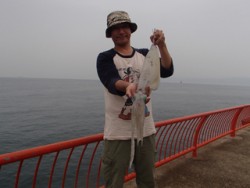 【16日】平磯でアオリキロアップ★