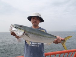 平磯海釣り公園　ウキ釣りでメジロ67cm