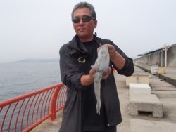 神戸市立平磯海づり公園 オレンジカラーのエ…