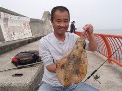 神戸市立平磯海づり公園　アオリイカキロアップ