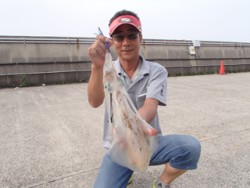 神戸市立平磯海づり公園　エギングでキロUP…