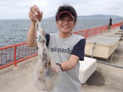 神戸市立平磯海づり公園 投稿