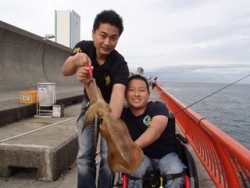 平磯海釣り公園 エギングでアオリイカ1450g 兵庫県 瀬戸内海側 神戸市立平磯海づり公園 エギング アオリイカ 陸っぱり 釣り 魚釣り 釣果情報サイト カンパリ