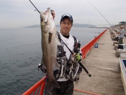 神戸市立平磯海づり公園　ハネ58cm