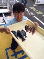 和歌山マリーナシティ海洋釣り堀　グレ、ほか…