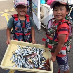 マリーナシティ海釣り公園　サビキのイワシ＆サバ好調