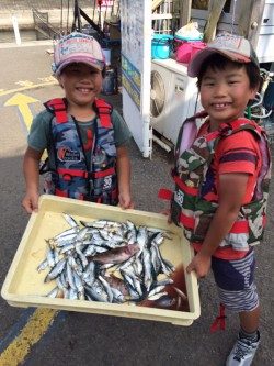 マリーナシティ海釣り公園　サビキのイワシ＆サバ好調