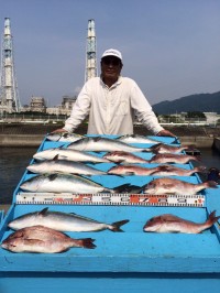 和歌山マリーナシティ海洋釣り堀　メジロ、マ…