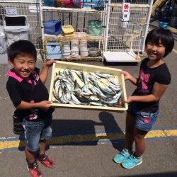 マリーナシティ海釣り公園　サビキのイワシ＆サバ好調